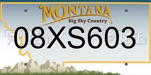 08XS603 Montana License Plate
