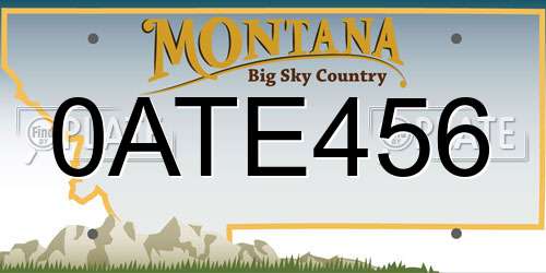 0ATE456 Montana License Plate
