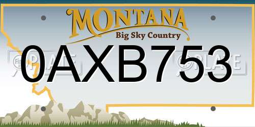 0AXB753 Montana License Plate