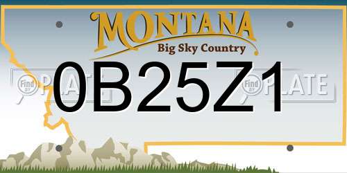0B25Z1 Montana License Plate