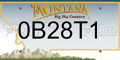 0B28T1 Montana License Plate