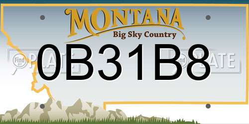 0B31B8 Montana License Plate