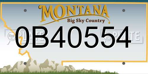 0B40554 Montana License Plate