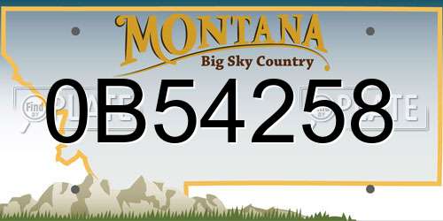 0B54258 Montana License Plate