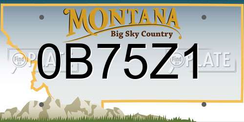 0B75Z1 Montana License Plate