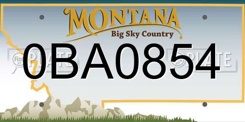 0BA0854 Montana License Plate