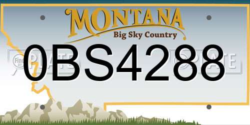 0BS4288 Montana License Plate