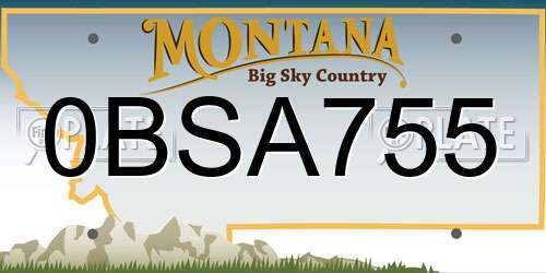 0BSA755 Montana License Plate