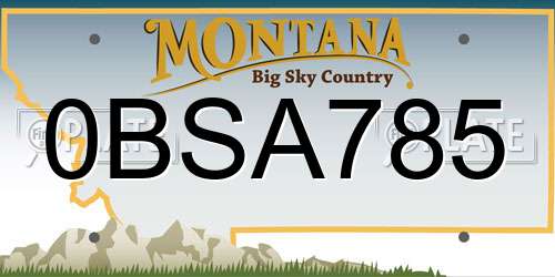 0BSA785 Montana License Plate