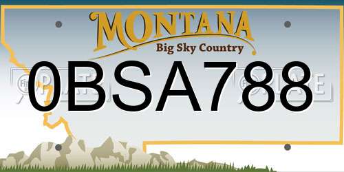 0BSA788 Montana License Plate