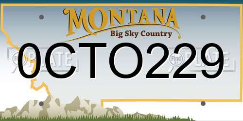 0CTO229 Montana License Plate