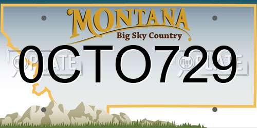 0CTO729 Montana License Plate