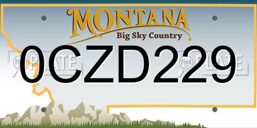 0CZD229 Montana License Plate