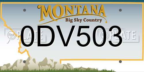 0DV503 Montana License Plate