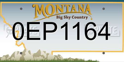 0EP1164 Montana License Plate