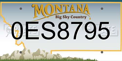 0ES8795 Montana License Plate