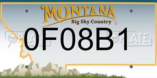 0F08B1 Montana License Plate