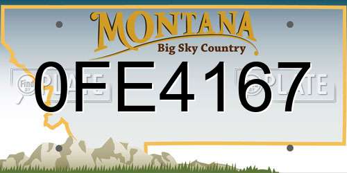 0FE4167 Montana License Plate