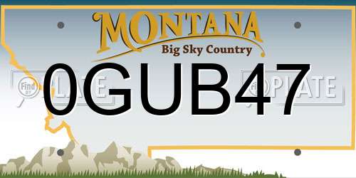 0GUB47 Montana License Plate