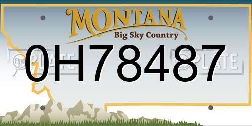 0H78487 Montana License Plate