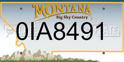 0IA8491 Montana License Plate