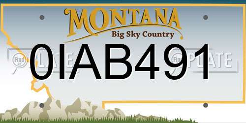 0IAB491 Montana License Plate