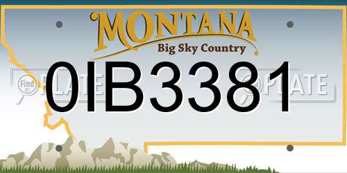 0IB3381 Montana License Plate