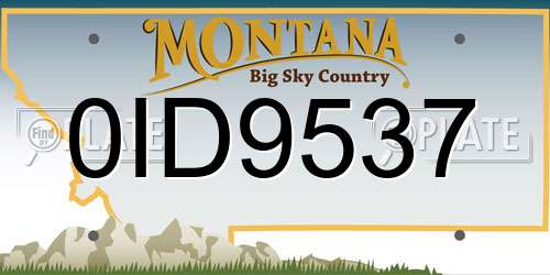 0ID9537 Montana License Plate