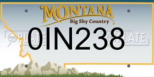 0IN238 Montana License Plate