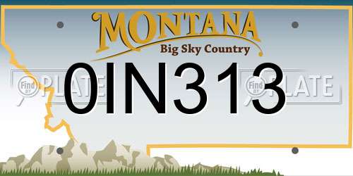 0IN313 Montana License Plate