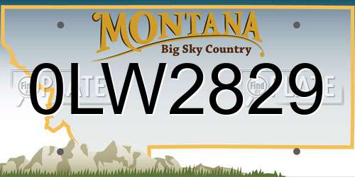0LW2829 Montana License Plate