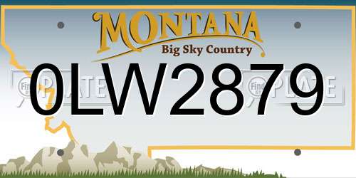 0LW2879 Montana License Plate