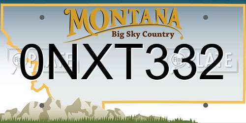 0NXT332 Montana License Plate