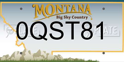 0QST81 Montana License Plate