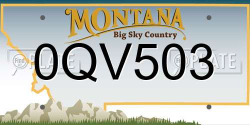 0QV503 Montana License Plate
