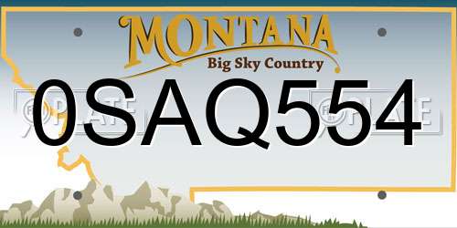 0SAQ554 Montana License Plate
