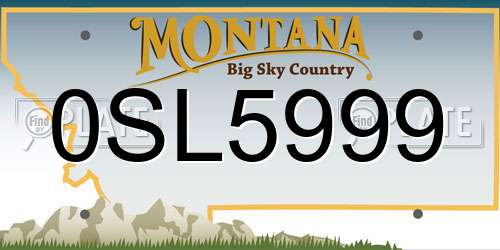 0SL5999 Montana License Plate