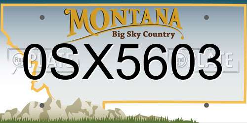 0SX5603 Montana License Plate