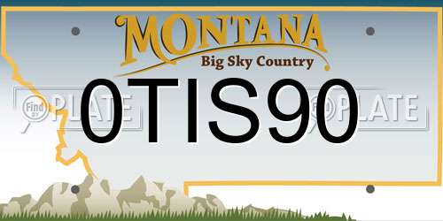 0TIS90 Montana License Plate