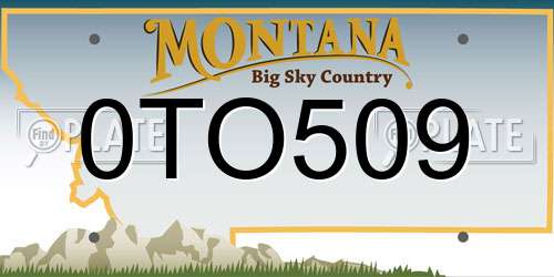 0TO509 Montana License Plate