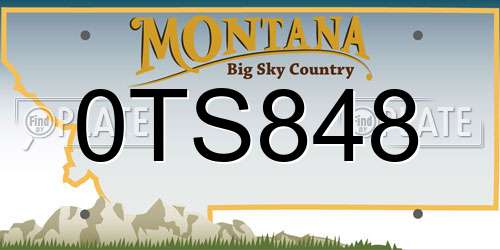 0TS848 Montana License Plate