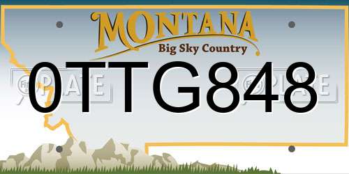 0TTG848 Montana License Plate