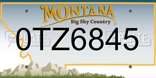 0TZ6845 Montana License Plate