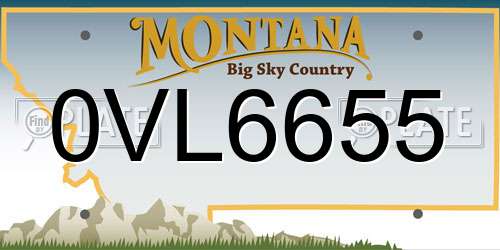 0VL6655 Montana License Plate