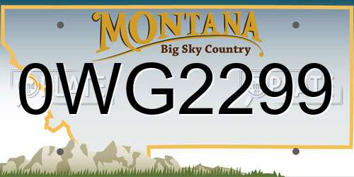 0WG2299 Montana License Plate