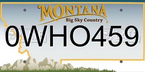 0WHO459 Montana License Plate