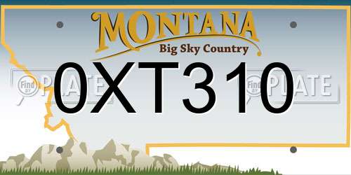0XT310 Montana License Plate