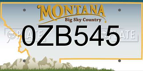0ZB545 Montana License Plate