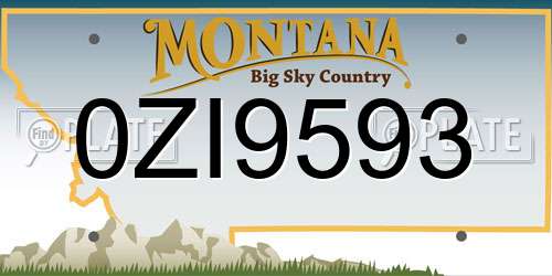 0ZI9593 Montana License Plate