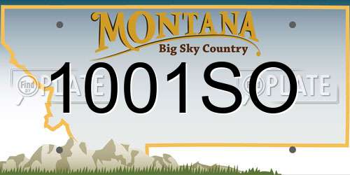 1001SO Montana License Plate